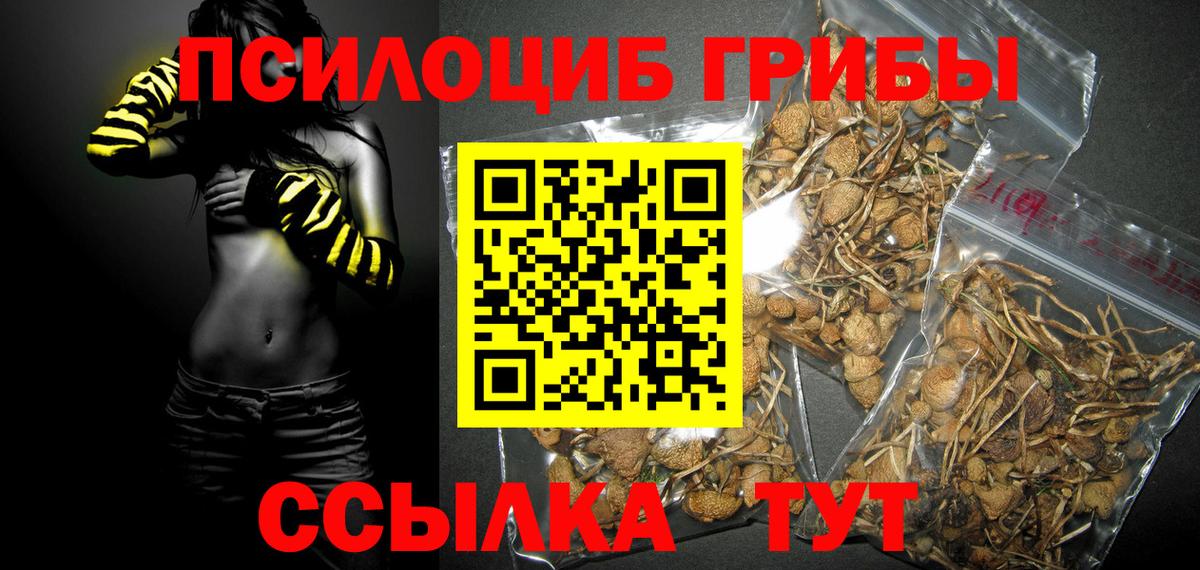 Псилоцибиновые грибы мухоморы Лабытнанги